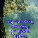 영차영차 Daum카페