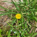 길촌경로당 이미지