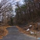 억불산 | 전남 장흥 억불산(518m) 명품 며느리바위와 1억불짜리 두 얼굴의 산(2023.12.9)