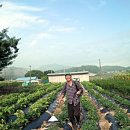 광섭농장 이미지