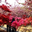 완산-1 이미지