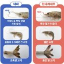 CU 영광백수점 | [흰다리 활새우 소금구이]를 맛있게 먹고 아름다운 해안길, 영광백수도로를 드라이브하다