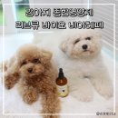 바이오큐 | 강아지 종합영양제 추천 리브큐 바이오 비어헤페 솔직 리뷰