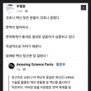 백고식당
