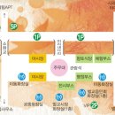 벌교천변길1 이미지