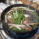 올퍼블릭 티스토리