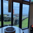 초록흑돼지농장 이미지