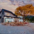 젤코바480 이미지