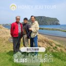 제주다정여행사 이미지