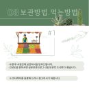 프룻연 이미지