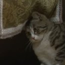 뒷고기명가 이미지