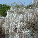 무안북중학교 이미지