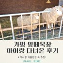 우천목장 | 가평 양떼목장 아이랑 가볼만한곳 방문후기+카페 꼭 가야하는 이유🐑