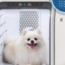 엘펫