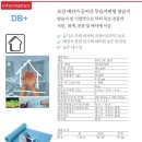 디비플러스