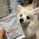 지팡이동물병원 | 🐶 노견 간식 추천｜칫솔질 싫어하는 강아지도 OK! 페리오돈틱스 츄 치아관리 후기