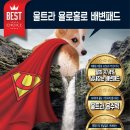 배변패드계의 하기스 욜로홀로배변패드 도매문의는 메일주세요!!