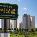 봄에솔이 이미지