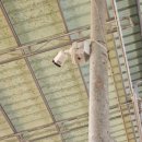 구축농장 이미지