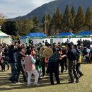 무정면 은행나무 축제 이미지