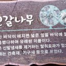 백천 이미지