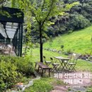 춘하추동자판기