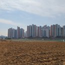 미래부동산중개사무소 이미지