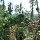 당거농장 이미지