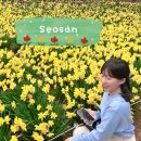 개신사 | 🌼[서산] 충남 서산 가볼 만한 곳 유기방가옥 수선화축제 후기🌼