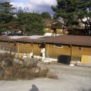 양지-2786 이미지