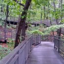 불암산 순환산책로 이미지