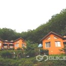 민주지산자연휴양림 국제뉴스