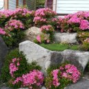 우리바다민박 이미지