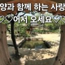 미리보는 띠별 내일의 운세 (1월2일) 이미지