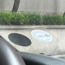 둔산중로32번길 이미지