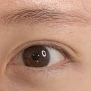 도리브로우(DORI BROW)