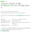 장문외과의원 이미지