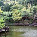 구봉산 가는길 이미지