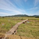 함평 고막천석교 이미지