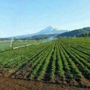 유일농장 이미지