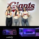앨리스 - 수영구 광안해변로 95 | 앨리스