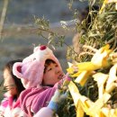 ＜수도권 최대!!!-미리보는＞ 제8회 `희망맞이` 안양천대보름축제 이미지