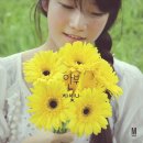 차빛나라 이미지