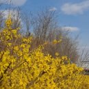 민들레하나한의원 이미지