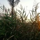 평창밧데리 이미지