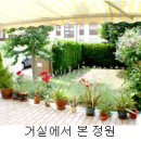 송민박 Daum카페