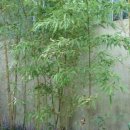 인도박물관 이미지