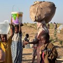 Prise d'El-Fasher au Soudan: que sait-on des crimes contre les civils ? 이미지