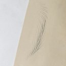 엔조브로우 | 포항남자눈썹 포항남자눈썹문신 포항반영구