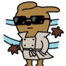 이호웨이브 이미지